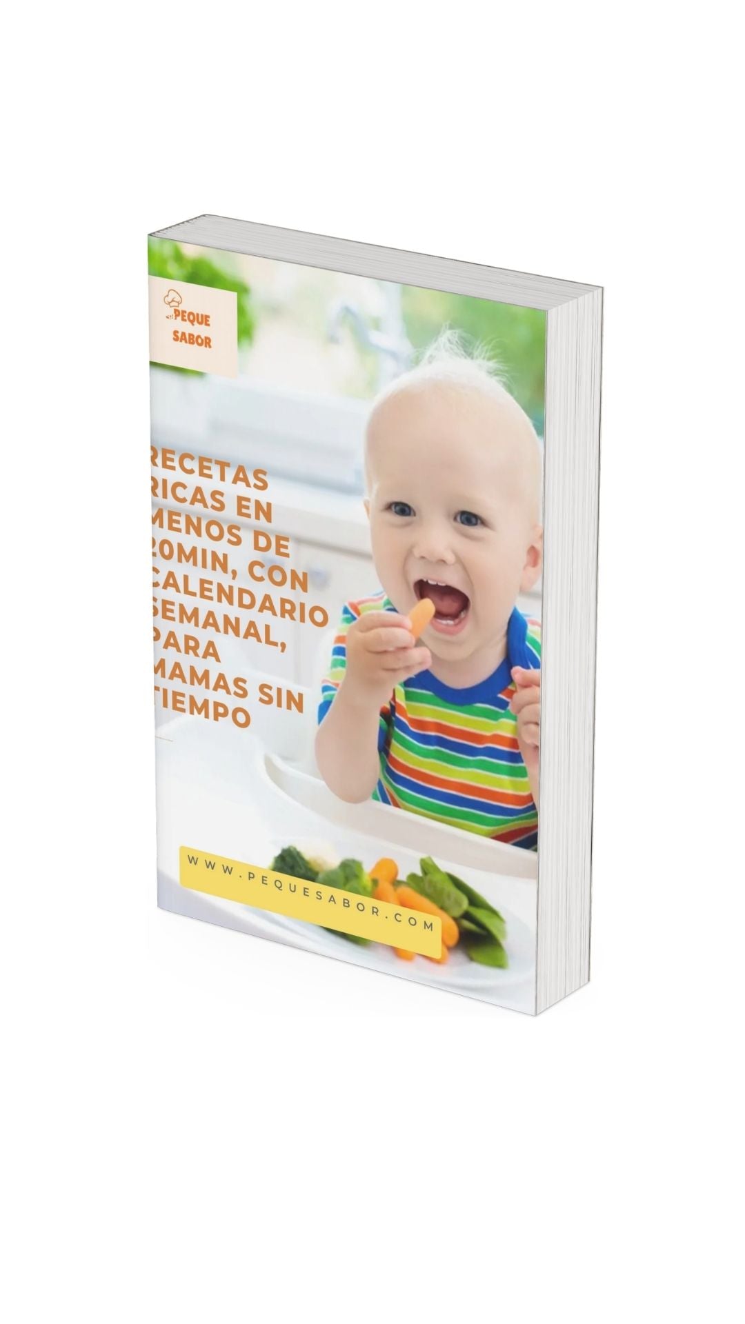 Aprende recetas ricas y rapidas de hacer, que tu bebe necesita